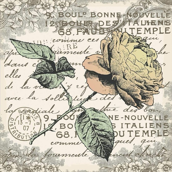 Meet your Posher, Jenny - Picture 1 of 1